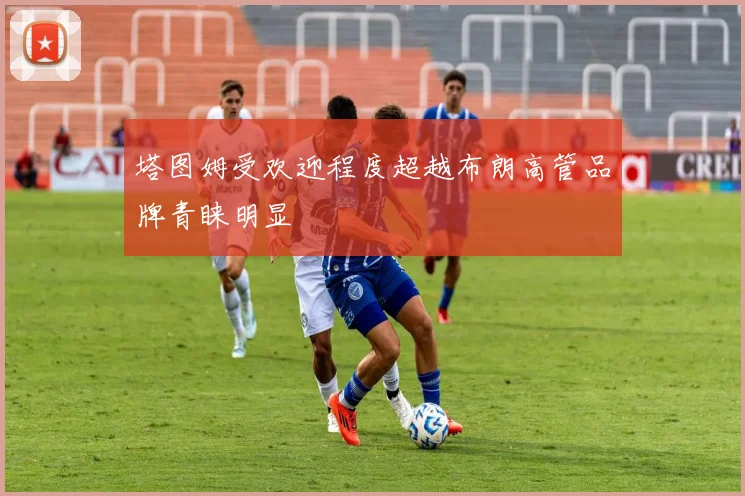 塔图姆受欢迎程度超越布朗高管品牌青睐明显